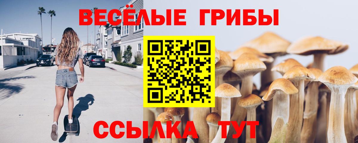 Гагарин  Псилоцибиновые грибы ЛСД  Псилоцибиновые грибы мухоморы  Вход с VPN 